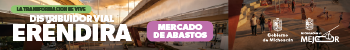 Distribuidor vial Eréndira.