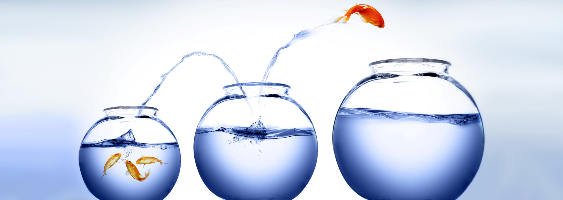 intelectuales y poder