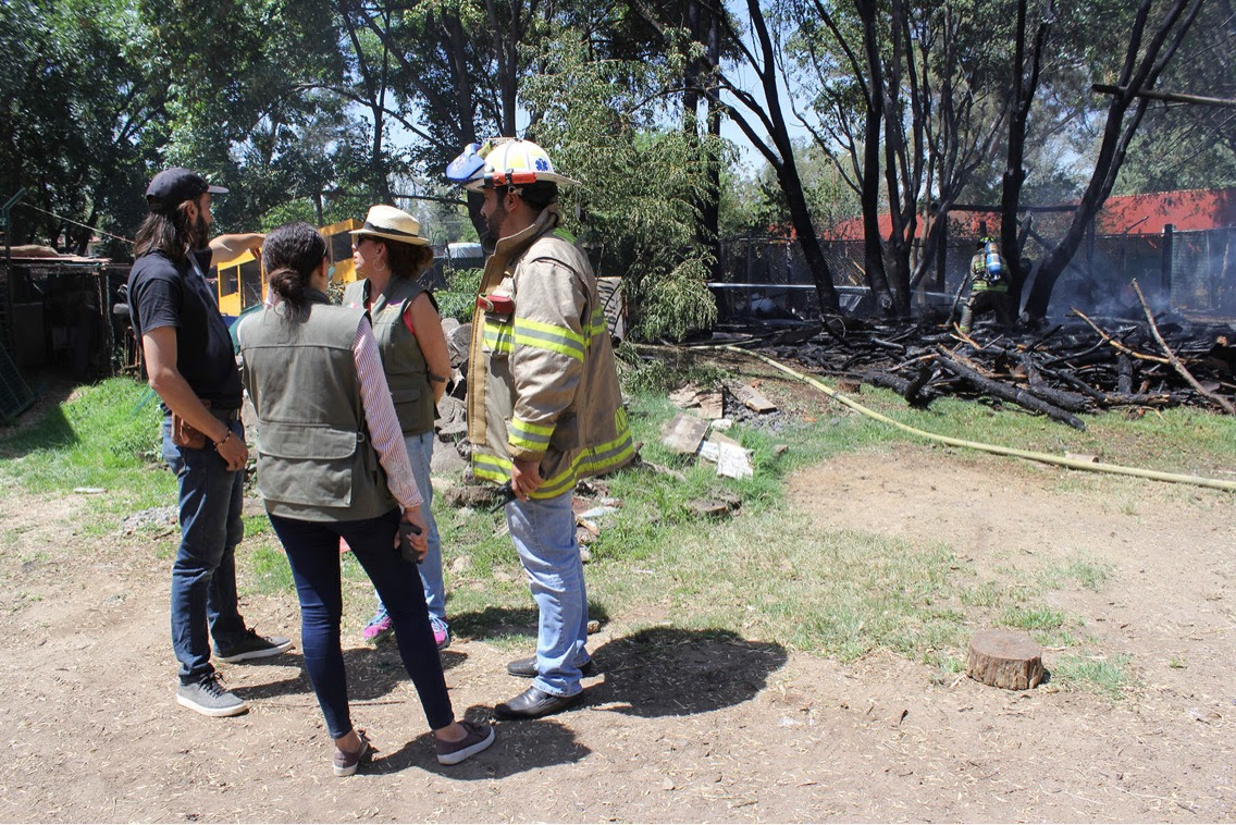incendio zoologico Benito Juarez