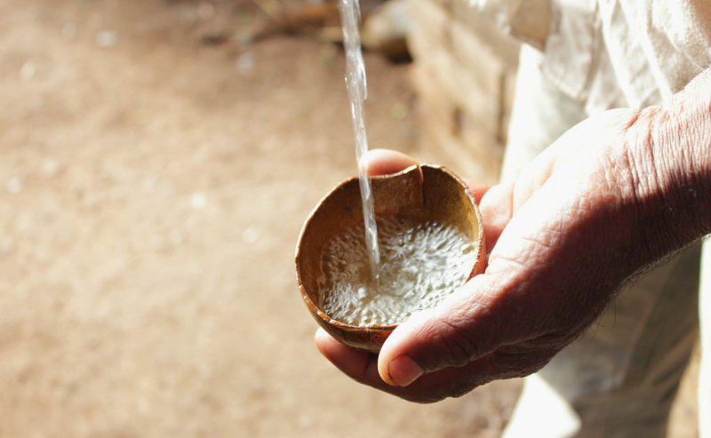 Productores de mezcal