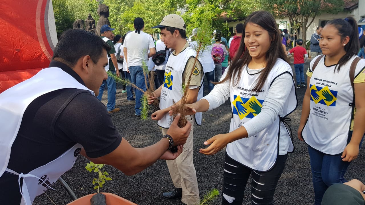 Reforestan instalaciones