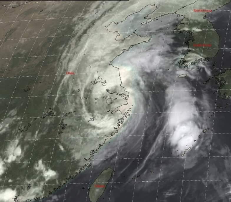 68959575_466104950638802_2765130233274171392_n