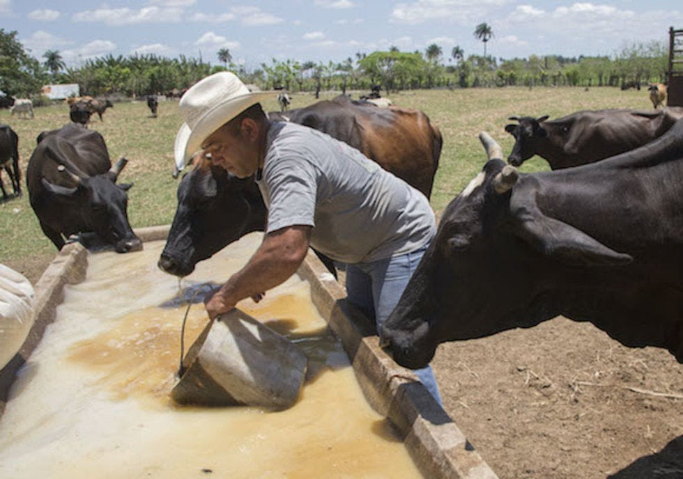 Agro, ganadería y pesca de Michoacán, las segundas más productivas de México Notiunión Agro, ganadería y pesca de Michoacán, las segundas más productivas de México Notiunión