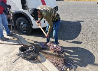 ANTE COVID-19 se realiza aseo profundo y recolección de basura en Morelia