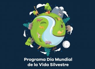 ZOOLÓGICO DE MORELIA INVITA A CELEBRAR EL DÍA MUNDIAL DE LA VIDA SILVESTRE