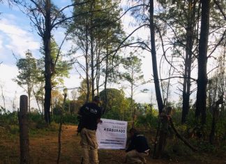 VILLA MADERO/Aseguran predio por relación en delitos contra el medio ambiente