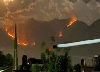 TUXPAN/ Se registraron fuertes incendios forestales