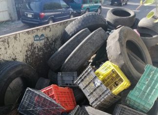 Realiza Jurisdicción de La Piedad acciones vectoriales contra el dengue