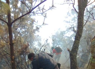 Logran controlar incendio en el cerro “El cacique”
