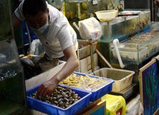 Encuentran COVIID-19 en mariscos y secciones de carne del mercado de Beijing