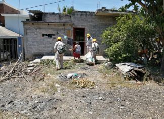 Destacan acciones para prevenir dengue, chikungunya y zika