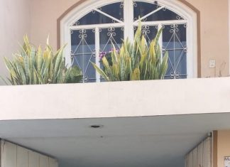 Denuncian robo de insumos de fumigación contra mosco transmisor de dengue en Apatzingán