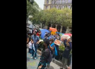 Pro-vida celebran la NO despenalización del aborto y gritan «Viva La Virgen De Guadalupe»