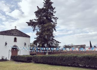 Localizan a un hombre muerto en una brecha de Tiristaran, Michoacán.