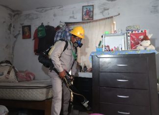 A la baja casos de dengue en Lázaro Cárdenas