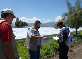 Atiende ProAm denuncia ambiental en Indaparapeo