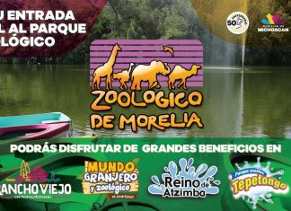 Conoce las nuevas promociones del Zoológico de Morelia