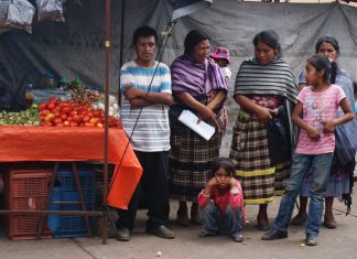 Busca CEDPI garantizar el acceso a la Justicia de los pueblos originarios