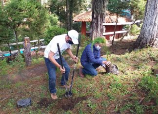 Reforestan el centro turístico Rancho Viejo