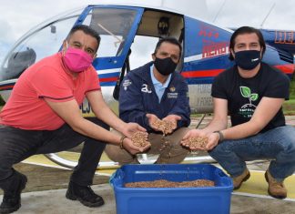Trabajan en reforestación aérea y terrestre en el Cerro del Cacique