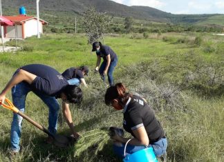 Refrenda CECyTEM su compromiso con el medio ambiente