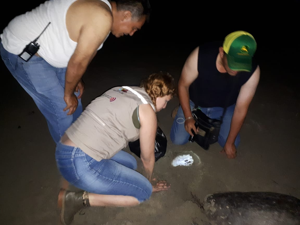 unnamed - 2020-08-14T215407.248