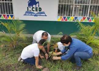 Se unió IMCED a campaña de reforestación