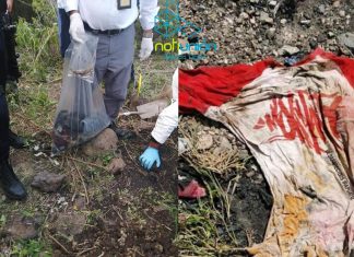 Encuentran 8 fosas clandestinas en Irapuato; se habla de más de 100 cadáveres