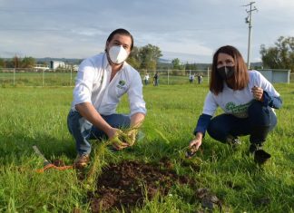 Áreas verdes fortalecidas en instituciones educativas: COFOM