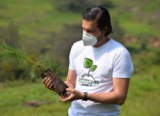 Reforestados 12 millones de árboles en esta temporada