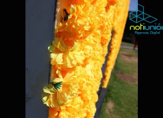 Morelia es Adornada con Flores Artificiales