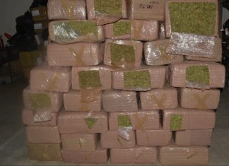 Detienen a un hombre por transportar una tonelada de marihuana