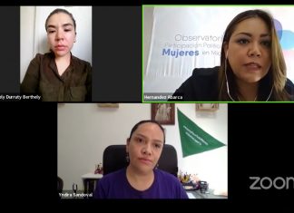 Impulsan Seimujer y colectivos feministas ley contra la violencia de género para Michoacán
