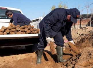 Localizan más de 15 mil proyectiles de la Primera Guerra Mundial