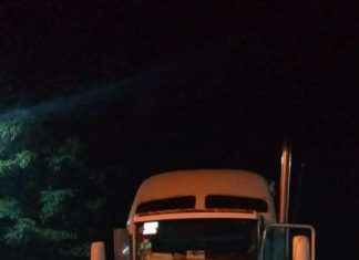 Recuperan 60 cabezas de ganado que fueron robadas con violencia en el municipio de Buenavista