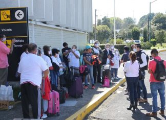 Palomas Mensajeras de Lázaro Cárdenas se reencuentran con sus familiares en Estados Unidos