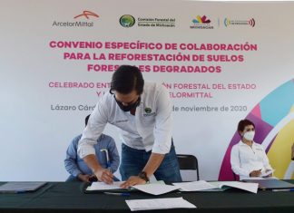 Se recuperarán más 300 hectáreas forestales en Lázaro Cárdenas: COFOM