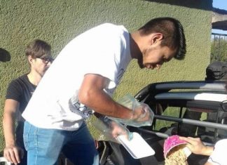 Operativo “Pancitas Llenas” busca evitar agresiones a perros y gatos en fogatas