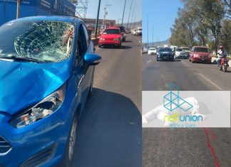Mujer pierde la vida luego de intentar colocar señaléticas por que su carro se averió
