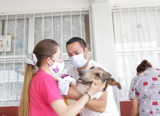 Cientos de mascotas reciben atención y salud a través de “Uichu”