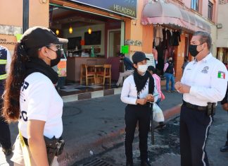 Refuerza IEESSPP acciones en puestos de control sanitario en Zitácuaro