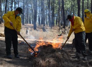 Inician las jornadas de prevención contra incendios forestales