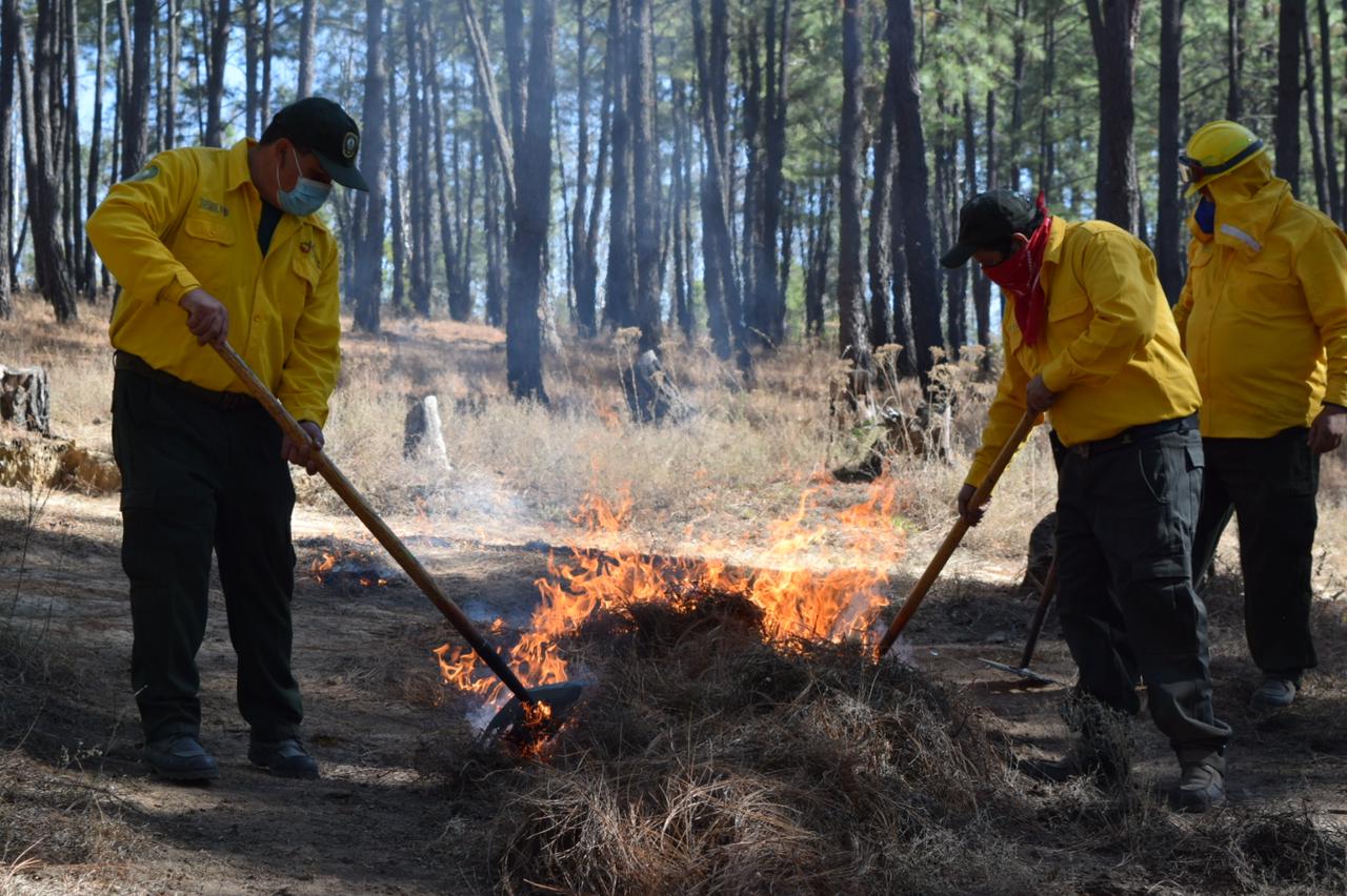 WhatsApp Image 2021-02-06 at 12.56.09