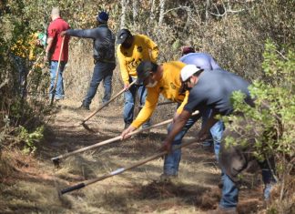Refuerzan acciones de prevención de incendios forestales en el Estado