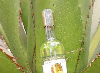 Guía para pagar el impuesto a la venta final de bebidas con contenido alcohólico en Michoacán por parte de SFA