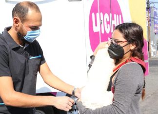 Más de 100 perros y gatos fueron esterilizados en enero