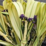 Domingo-de-ramos-semana-santa-2020-paraguay-asuncion-covid19