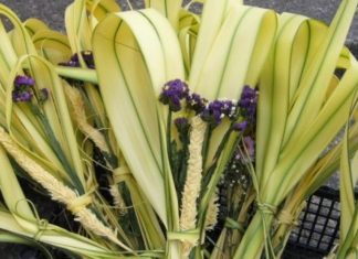 Domingo de Ramos ¿Por qué se conmemora?