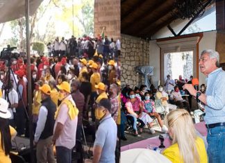 #Columna / Estúpidos……..