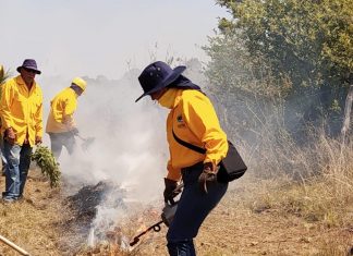 Una mujer experta en manejo del fuego coordina acciones contra incendios en el Bajío michoacano